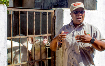 Letwinna Nyagano, the Piggery Queen, showing the pigs in her farm in Norton Ward 15 in the Mashonaland West Province of Zimbabwe. Photo: Kudakwashe Emma Zihonye, bird story agency